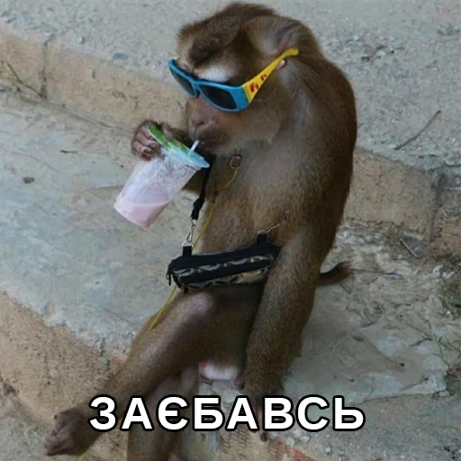 🥱 Стикер «Файні звірятка» для Telegram