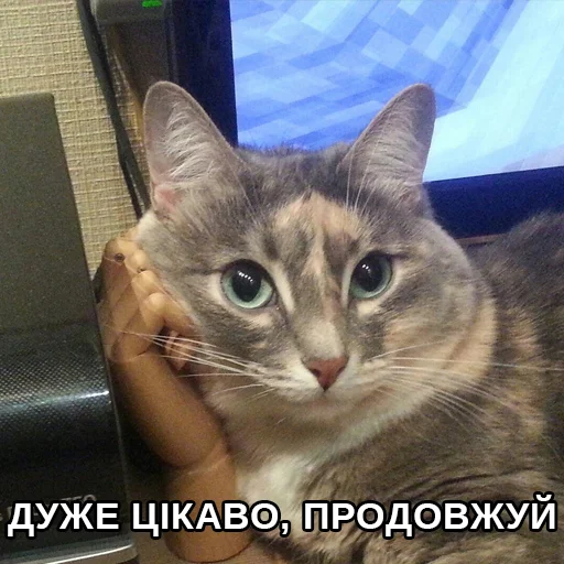 😒 Стикер «Файні звірятка» для Telegram