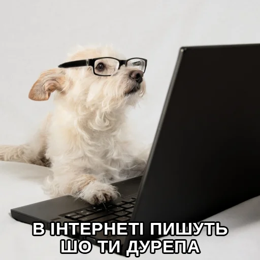 🤬 Стикер «Файні звірятка» для Telegram