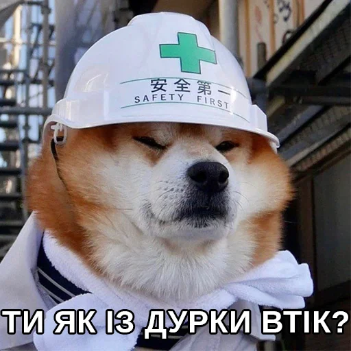 😐 Стикер «Файні звірятка» для Telegram