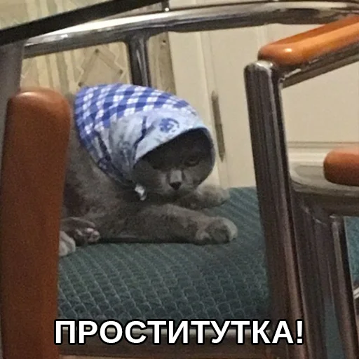 😒 Стикер «Файні звірятка» для Telegram