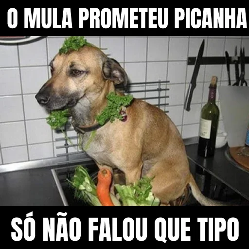 🐶 Стикер «Faz o L» для Telegram