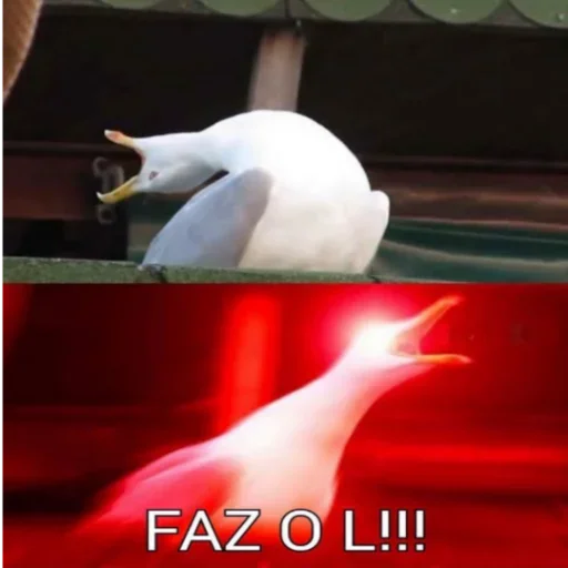 🦑 Стикер «Faz o L» для Telegram