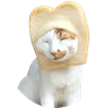 🍞 Эмодзи «Fcking Cats» для Telegram