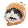 😬 Эмодзи «Fcking Cats» для Telegram