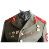 🫡 Эмодзи «Fcking Cats» для Telegram