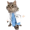 👩‍⚕️ Эмодзи «Fcking Cats» для Telegram