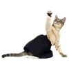 👩‍🏫 Эмодзи «Fcking Cats» для Telegram