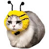 🐝 Эмодзи «Fcking Cats» для Telegram