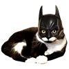 🦸‍♀️ Эмодзи «Fcking Cats» для Telegram