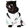 😎 Эмодзи «Fcking Cats» для Telegram