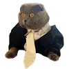 😳 Эмодзи «Fcking Cats» для Telegram