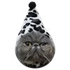 😶 Эмодзи «Fcking Cats» для Telegram