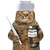 💉 Эмодзи «Fcking Cats» для Telegram