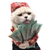 🤑 Эмодзи «Fcking Cats» для Telegram