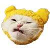 🤢 Эмодзи «Fcking Cats» для Telegram