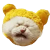 🤢 Эмодзи «Fcking Cats» для Telegram