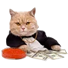 🤑 Эмодзи «Fcking Cats» для Telegram
