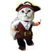🏴‍☠️ Эмодзи «Fcking Cats» для Telegram