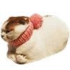 🧣 Эмодзи «Fcking Cats» для Telegram