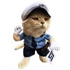 👮‍♂️ Эмодзи «Fcking Cats» для Telegram