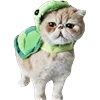 🐱 Эмодзи «Fcking Cats» для Telegram