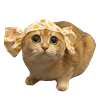 😶 Эмодзи «Fcking Cats» для Telegram