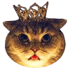 👸 Эмодзи «Fcking Cats» для Telegram