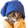 🧖‍♀️ Эмодзи «Fcking Cats» для Telegram