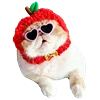 😎 Эмодзи «Fcking Cats» для Telegram