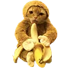 🐵 Эмодзи «Fcking Cats» для Telegram