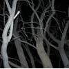 Стикер 47 Февраль