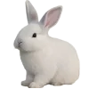 Стикер 2 Февраль