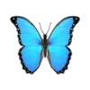 💙 Эмодзи «Feel» для Telegram