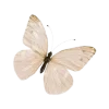 🤎 Эмодзи «Feel» для Telegram