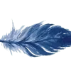 🪶 Эмодзи «Feel» для Telegram