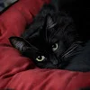 🐈‍⬛ Эмодзи «female vibe» для Telegram