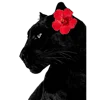 🐈‍⬛ Эмодзи «female vibe» для Telegram