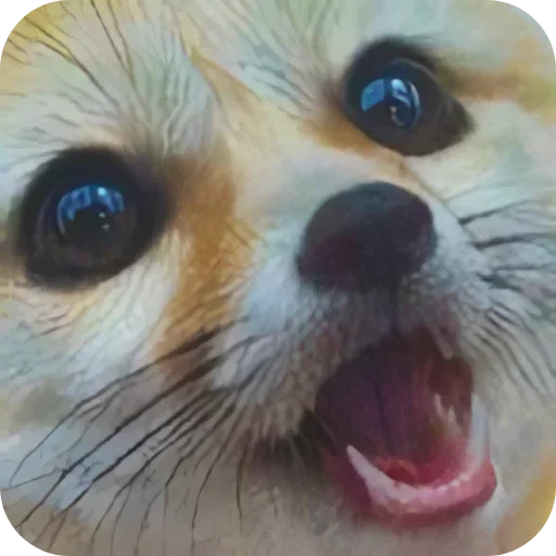 😳 Стикер «FensFennekPack2» для Telegram
