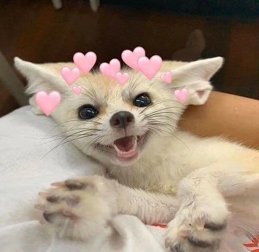 ❤️ Стикер «FensFennekPack2» для Telegram