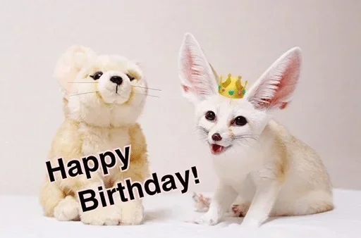 🍰 Стикер «Fens Pack 1» для Telegram