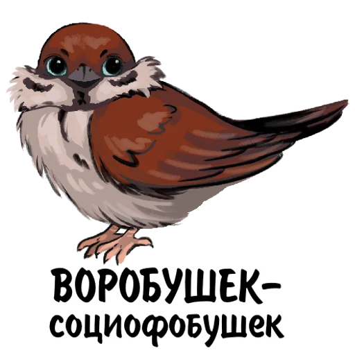 🐤 Стикер «feodoridy» для Telegram