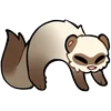 Стикер 18 Ferrets