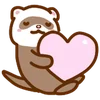 Ferrets