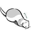 Стикер 27 Ferrets