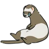 Стикер 37 Ferrets