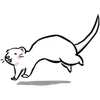 Стикер 25 Ferrets
