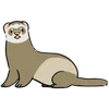 Стикер 34 Ferrets
