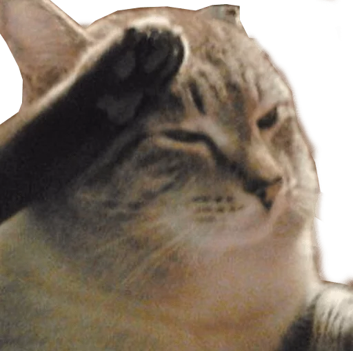 🐱 Стикер «Press F» для Telegram