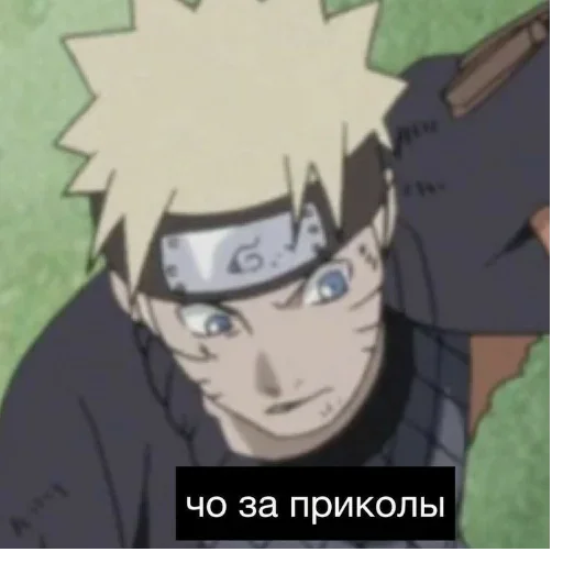 🤨 Стикер «survivors_people» для Telegram